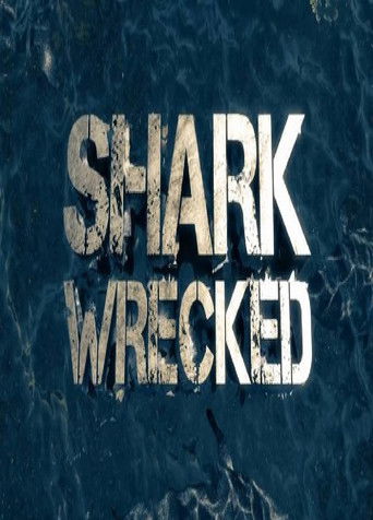 Naufragio entre tiburones poster
