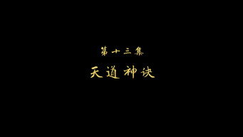 天道神决