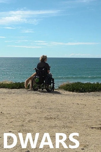 Dwars (2025)