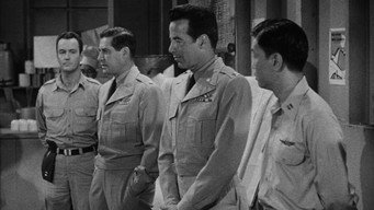 Dragonfly Squadron (1954)