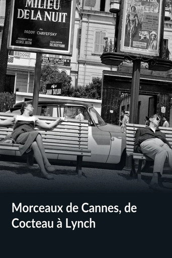 Morceaux de Cannes galeri 2