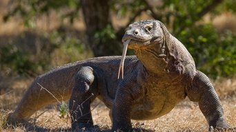 Asia's Wild Secrets - S1E01