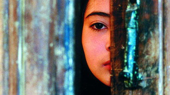 Дощ (2001)