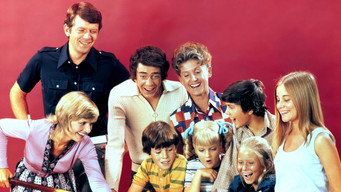 #8 The Brady Bunch