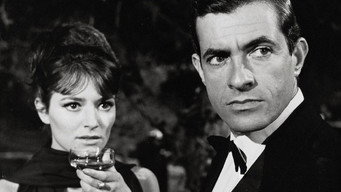 Brillante porvenir (1965)