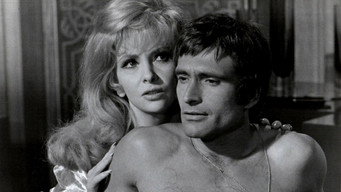 Stuntman (1968)