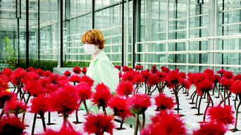 Galeria 4 - Little Joe