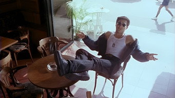 Пістолет і троянда (1992)