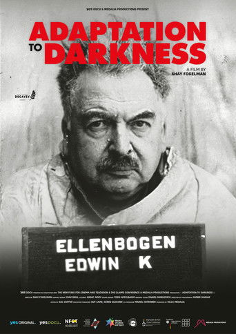 Adaptation to Darkness