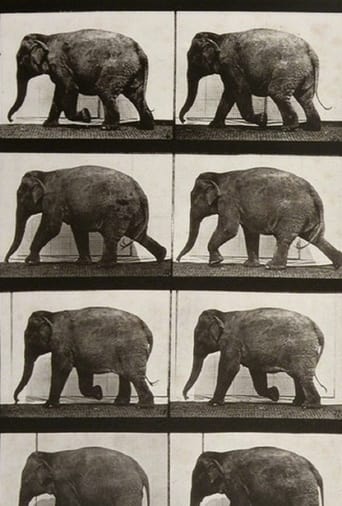 Elephant Walking (1887)