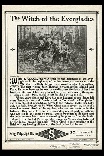 The Witch of the Everglades (1911)