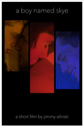 A Boy Named Skye poster
