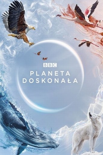 Planeta doskonała