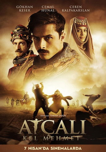 At&ccedil;alı Kel Mehmet (2017)