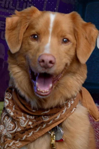 Foto de Indy the Dog