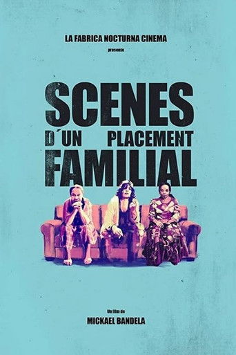 Scènes d'un placement familial poster