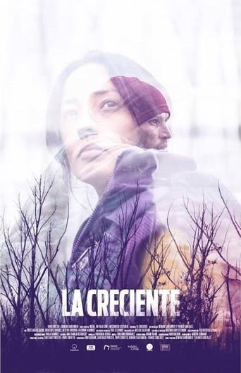 Poster of La creciente