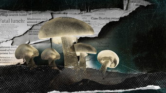 Revealed: Death Cap Murders (2025)