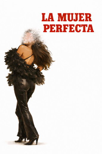 movie poster for The Perfect Woman