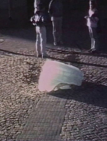 Summer-Winter-Summer