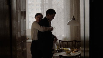 Камуфляж (2026)