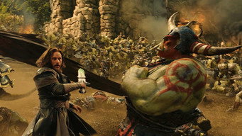 #17 Warcraft: Початок