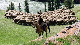 Brokeback Mountain backdrop 3