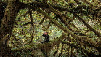 Whispers in the Woods (2025)
