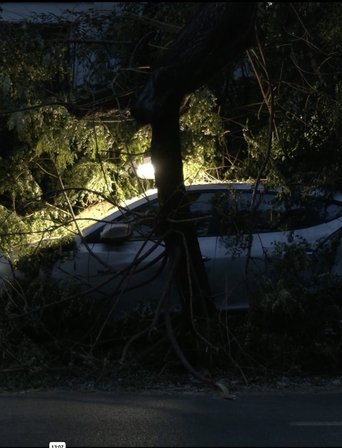 Esseri Urbani poster