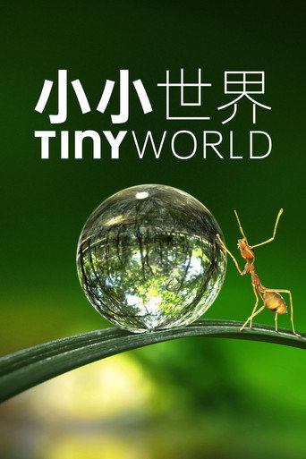 第 1 季