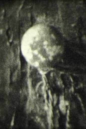 APOROS (2010)
