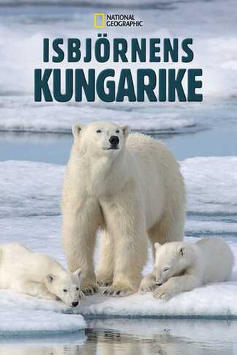 Poster 8
