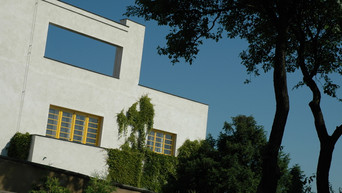 Loos Ornamental (2008)