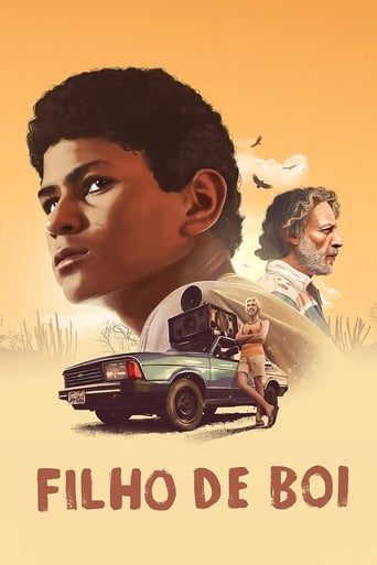 Poster of Filho de Boi