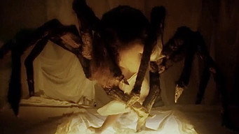 Spider (1991)