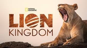 #10 Lion Kingdom
