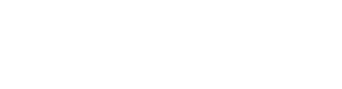 Bullet Train logo