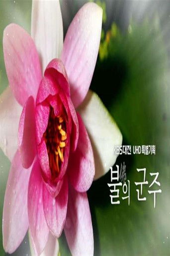 불(佛)의 군주 poster