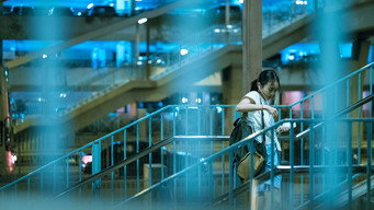 #5 The Crossing