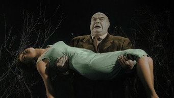 Plan 9 from Outer Space backdrop 7