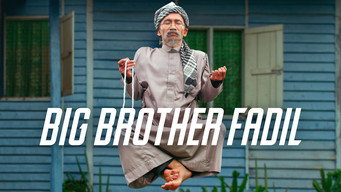 Big Brother Fadil (2014)