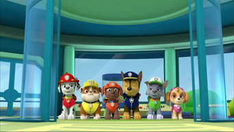 Assistir Patrulha Canina Online