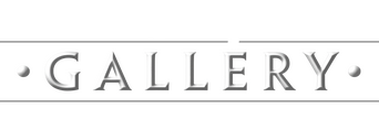 Disney Gallery / Star Wars: The Mandalorian logo