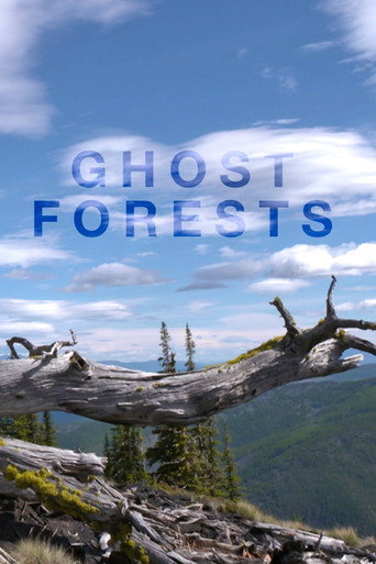 Ghost Forests (1970)