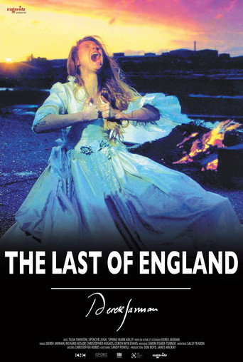 The Last of England poster