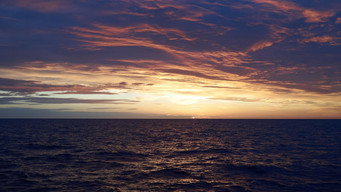 #13 North Sea  Nature Untamed