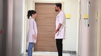 Episódio Episódio 17 da série Um Milagre