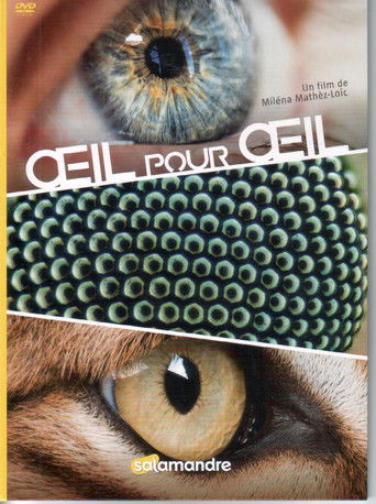 Œil Pour Œil poster