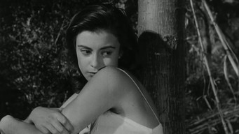 Toto and Carolina (1955)