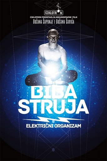 Biba struja (2012)